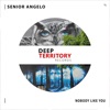 Senior Angelo - Nobody Like You