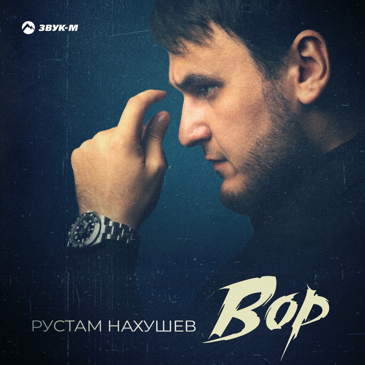 Рустам Нахушев – Вор: слушать и скачать mp3 песню