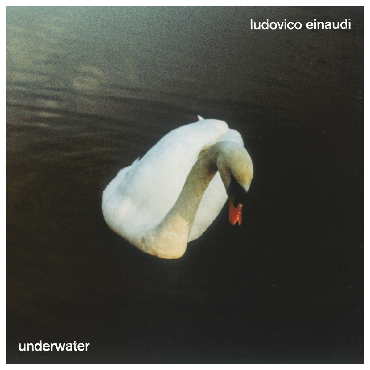 Ludovico Einaudi - Underwater (Video Edition)