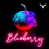 Blueberry artwork