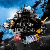 Zwischen Millionen und Depressionen artwork