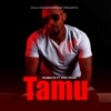 Tamu (feat. Mimi Mars) - Single