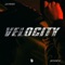 Velocity artwork