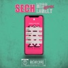 Miss Lonely - Dimelo Flow Remix by Sech iTunes Track 1
