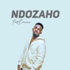 Ndozaho - Single