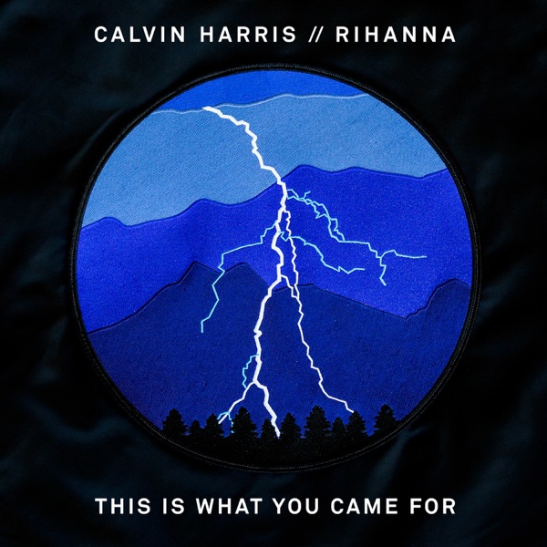 CALVIN HARRIS FEAT RIHANNA THIS IS WHAT YOU CAME FOR
