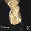 Can You See - Single