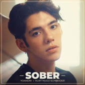 Kurt Hugo Schneider - Sober