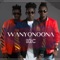 Wanyonoona (feat. Ama G the Black) artwork