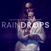 Rain Drops (Remix) artwork