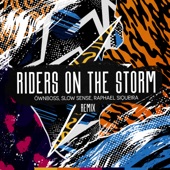 Riders on the Storm (Remix) artwork