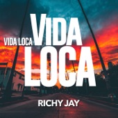 Vida Loca artwork