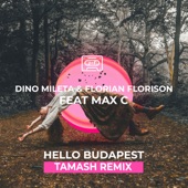 Hello Budapest (feat. Max C) [Tamash Remix] artwork