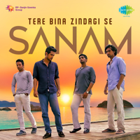 SANAM - Tere Bina Zindagi Se artwork