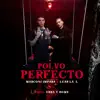 Polvo Perfecto - Single album lyrics, reviews, download