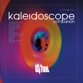 Kaleidoscope Companion artwork