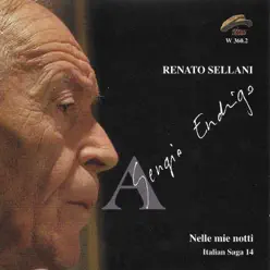 Nelle mie notti (A Sergio Endrigo) - Renato Sellani Nelle mie notti (A Sergio Endrigo) - Renato Sellani