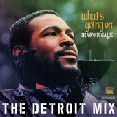 Marvin Gaye - Mercy Mercy Me (The Ecology) - Detroit Mix