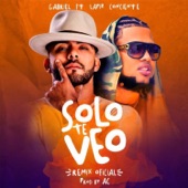 Solo Te Veo (Remix) artwork