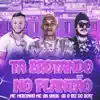 Ta Brotando no Plantão (Bregafunk Remix) - Single album lyrics, reviews, download