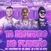 Stream & download Ta Brotando no Plantão (Bregafunk Remix) - Single