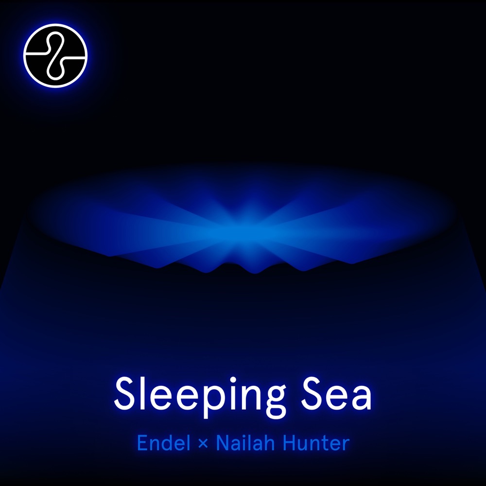 Sleeping Sea by Endel, Nailah Hunter