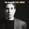 Paul Simon - You Can Call Me Al Grafik