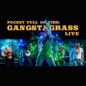 Pocket Full of Fire: Gangstagrass (Live) [Live] artwork