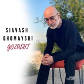 Gozasht artwork