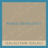 Qalalı artwork