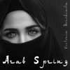 Arab Spring artwork