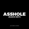 A*****e (Radio Edit) [Radio Edit] - Single album lyrics, reviews, download