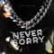 Never Sorry - YUNG RVIDER lyrics