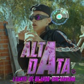 ALTA DATA artwork