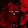 Wild Cards 12