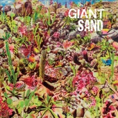 Giant Sand - Valley Of Rain