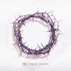 Nobody (feat. Matthew West) - Casting Crowns