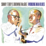 Sonny Terry & Brownie McGhee - Hootin' Blues (Live)