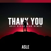 Thank You (Asle Disco Bias Remix) artwork