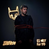 El Wey Fui Yo artwork