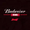 Olufunmi (Bud Remix) song lyrics