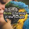 Birds Chirping in the Jungle album lyrics, reviews, download