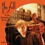 The Fall - Wrong Place, Right Time