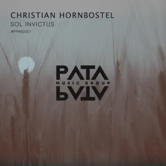 Sol Invictus - Single by Christian Hornbostel album reviews, ratings, credits