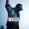 Noosh artwork