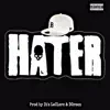 Hater (feat. Baby Love, Link Sinatra & Sxalez) song lyrics