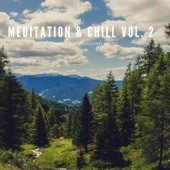 Meditation & Chill Vol.2 artwork