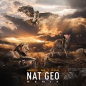 Nat Geo (feat. Lit Killah) [Remix] artwork