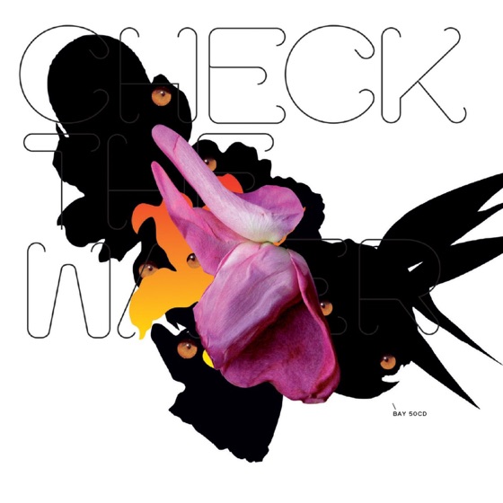 Cover artwork for Curuncula