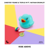 Rise Above (feat. Nathan Brumley) artwork